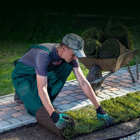 Landscaping